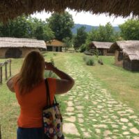 Bus & Minivan Tours