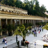 Half-day Tours