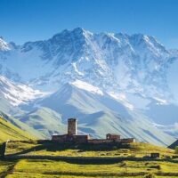 Bus & Minivan Tours