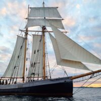 Sailing Trips