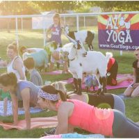 Classes & Workshops
