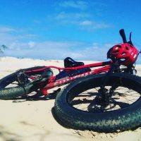 Self-guided Tours & Rentals