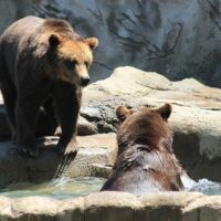 Full-day Tours