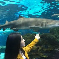 Multi-day & Extended Tours
