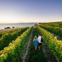 Private & Custom Tours