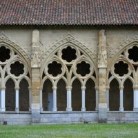 Cultural Tours