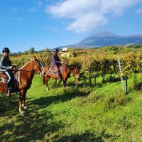 Horseback Riding