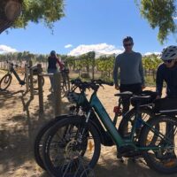 Beer & Brewery Tours