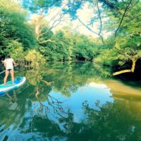Stand Up Paddleboarding