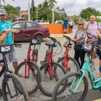 Bike & Mountain Bike Tours