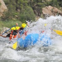 Boat Tours