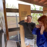 Museum Tickets & Passes
