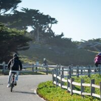 Bike Rentals