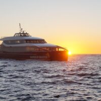 Dinner Cruises