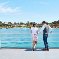 Day Cruises