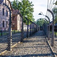 Full-day Tours