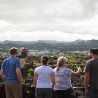 Day Trips & Excursions