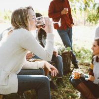 Day Trips & Excursions