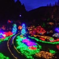 Seasonal Events