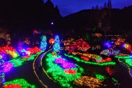 Christmas Eve in Victoria