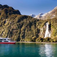 Full-day Tours