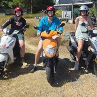 Vehicle Rentals