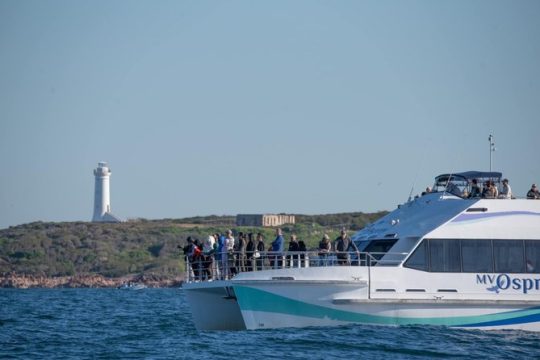 Valentine's Day in Newcastle