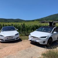 Private & Custom Tours