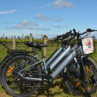 Bike & Mountain Bike Tours