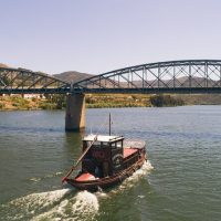 Port Transfers