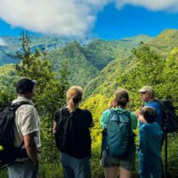 Luxury Tours