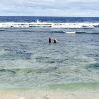 Day Trips & Excursions