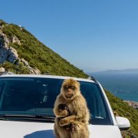Day Trips & Excursions