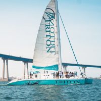Catamaran Cruises