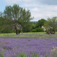 Day Trips & Excursions