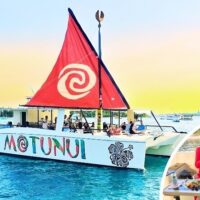 Catamaran Cruises