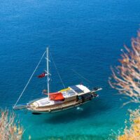 Catamaran Cruises
