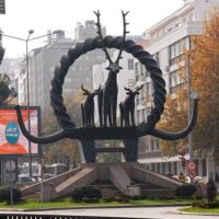 Half-day Tours