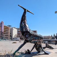 Self-guided Tours & Rentals