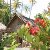 Walking & Biking Tours