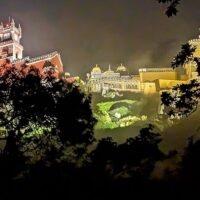 Night Tours