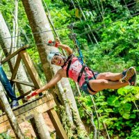Ziplines