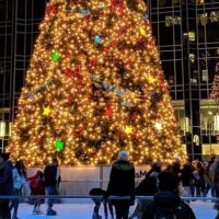 Holiday & Seasonal Tours