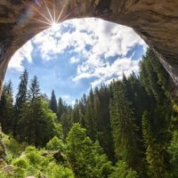 Tours & Sightseeing
