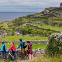 Bike Rentals