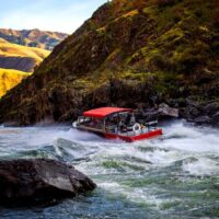 Cruises, Sailing & Water Tours
