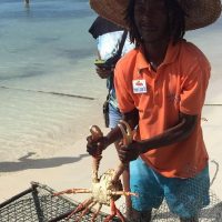 Full-day Tours