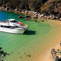 Luxury Tours