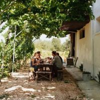Wine Tasting & Winery Tours