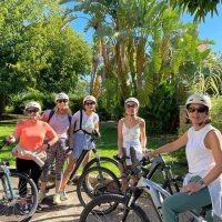 Private & Custom Tours